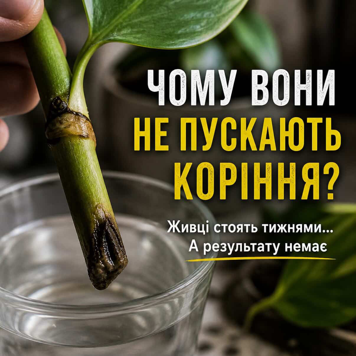 Два акумулятори в комплекті