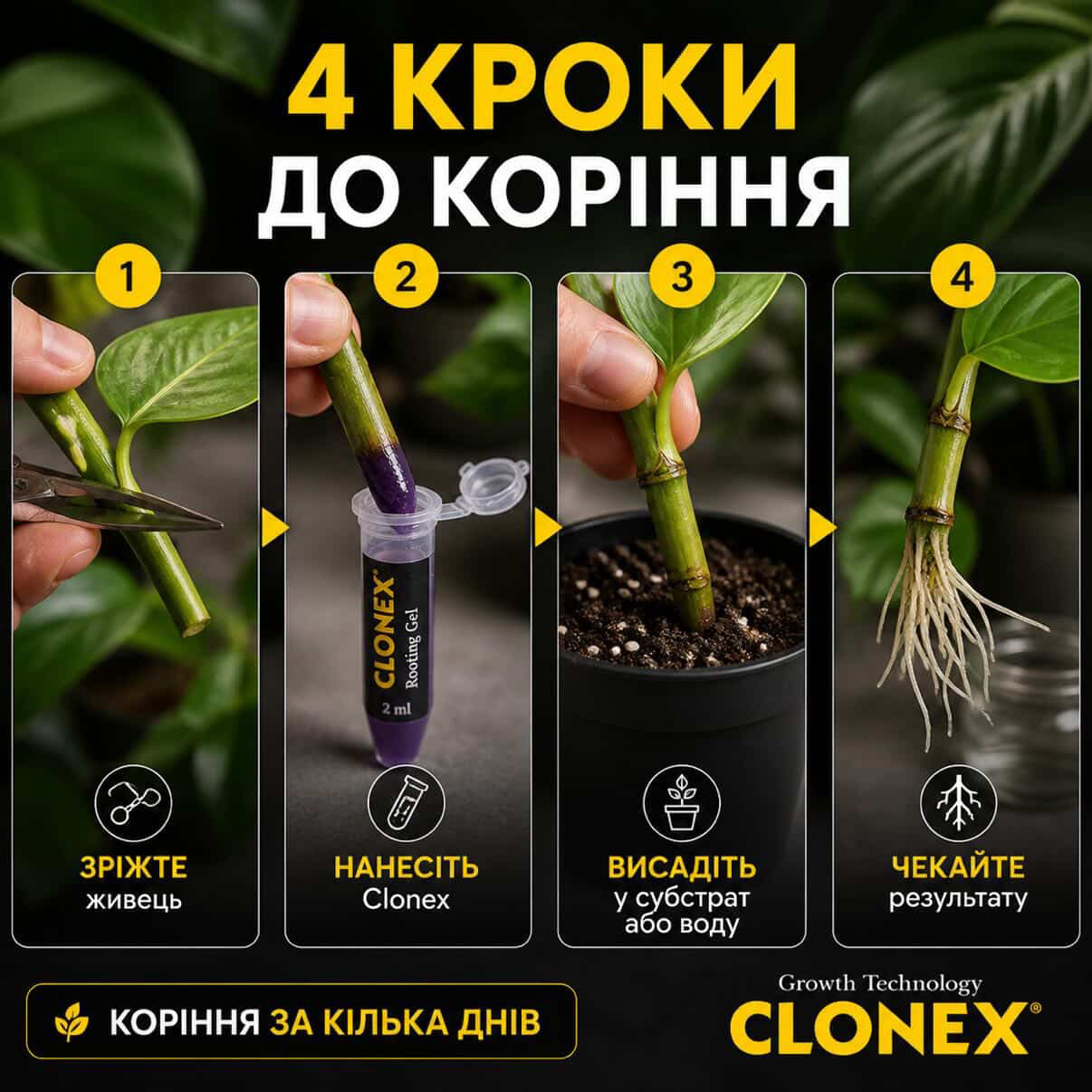 Швидка заміна насадок